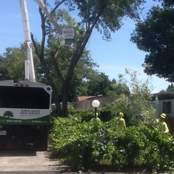North Valley Tree Service - The NVTS crew removing my tree - Tree Services Near Me - Chico, California