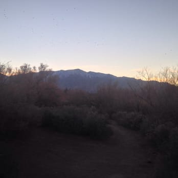 Roper Lake State Park - View of the snow topped mountain from my campsite. - RV Parks Near Me - Safford, Arizona Roper Lake State Park - View of the snow topped mountain from my campsite. - RV Parks Near Me - Safford, Arizona