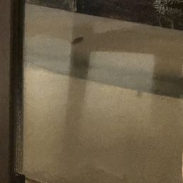 Cockroach Cockroach