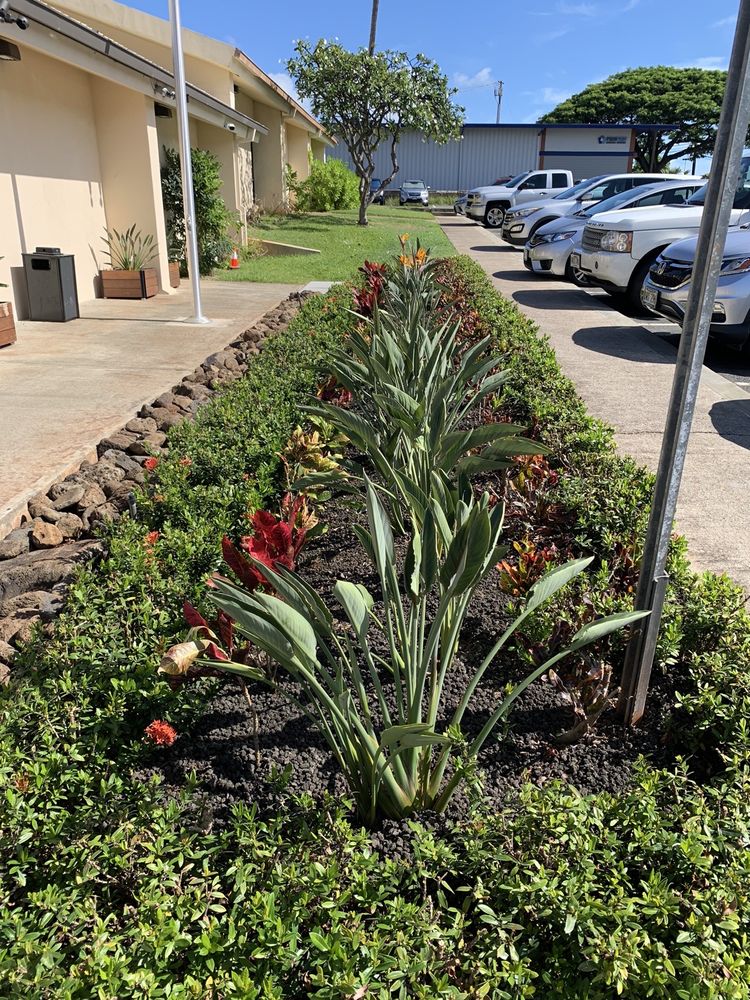 ULTIMATE INNOVATIONS 12 Photos & 22 Reviews 2908 Kaihikapu St