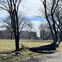 Calvert Vaux Park