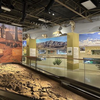 Museum Of Nature & Science Entrance Fee