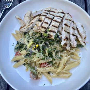 Sparrow - Penne with chicken - New American Near Me - Kirkland, Washington