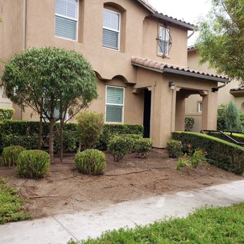 Rocha Landscaping - After - Tree Services Near Me - Chino, California