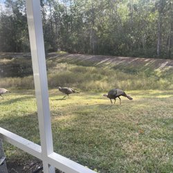 Grand Villa of Palm Coast