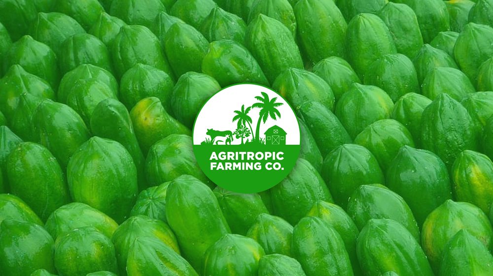 Agritropic Farming Co - beekeeping in Clewiston, FL