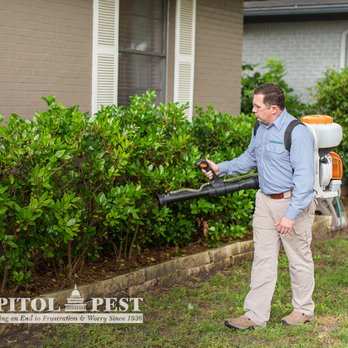Capitol Pest - Pest Control Near Me - Bethesda, Maryland Capitol Pest - Pest Control Near Me - Bethesda, Maryland