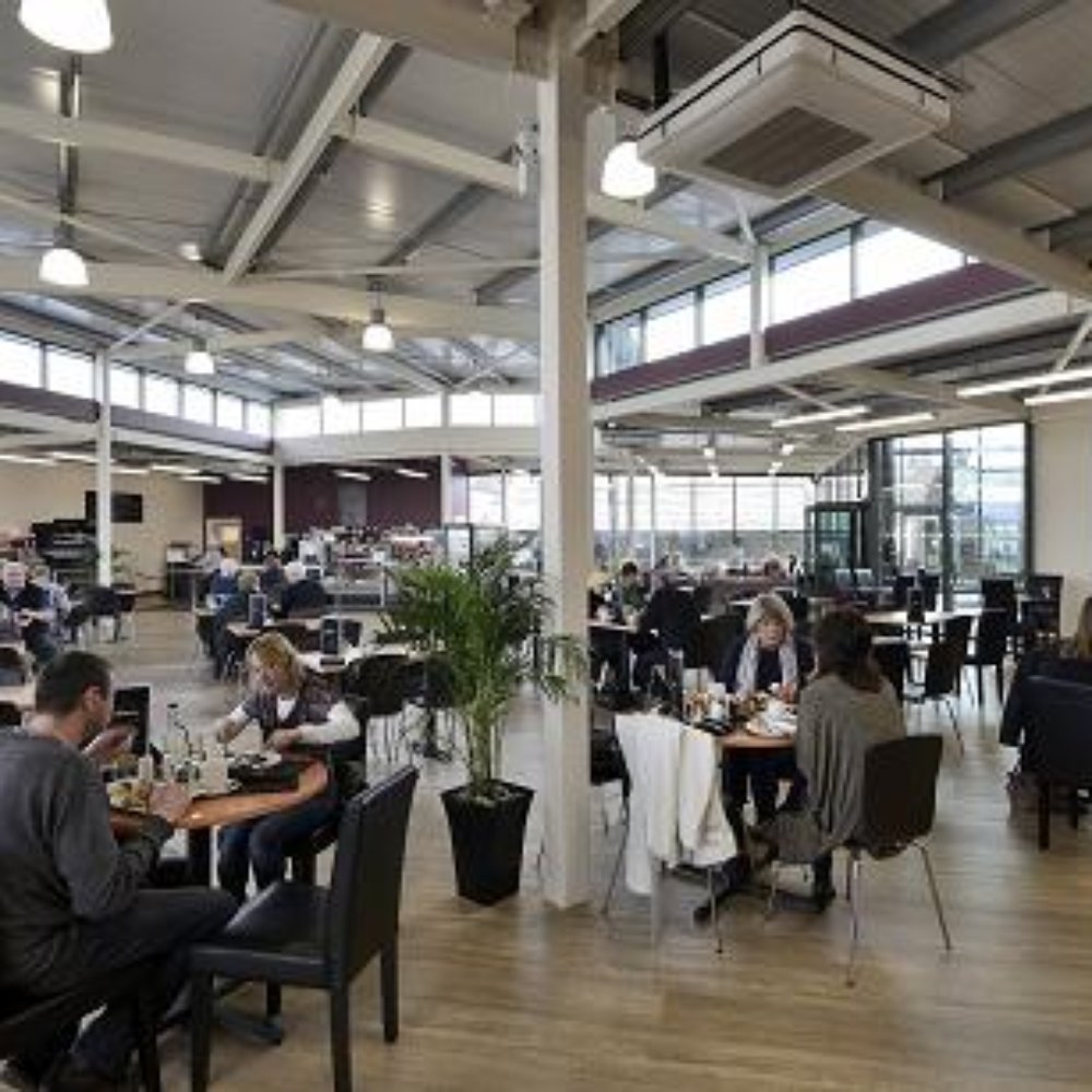 THE BEST 10 NURSERIES \u0026 GARDENING in BROADBOTTOM, GREATER MANCHESTER,  UNITED KINGDOM - Updated 2026 - Hours - Yelp, image size:1000x1000