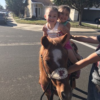All Star Training - Horseback Riding Near Me - Manteca, California