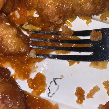 Hot Wok 88 - metal shaving in food C6. Honey Chicken Dinner Combo - Chinese Near Me - Wesley Chapel, Florida Hot Wok 88 - metal shaving in food C6. Honey Chicken Dinner Combo - Chinese Near Me - Wesley Chapel, Florida