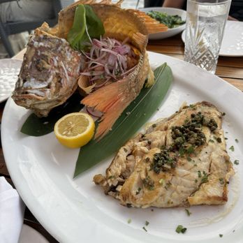 Joia Beach - Red Snapper Special - Modern European Near Me - Miami, Florida Joia Beach - Red Snapper Special - Modern European Near Me - Miami, Florida