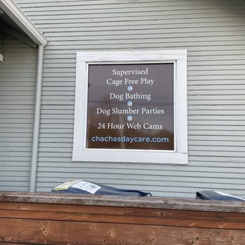 Cha Cha's Dog Daycare - Pet Groomers Near Me - Sacramento, California