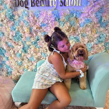Dog Beauty Salon - After pampering - Pet Groomers Near Me Dog Beauty Salon - After pampering - Pet Groomers Near Me