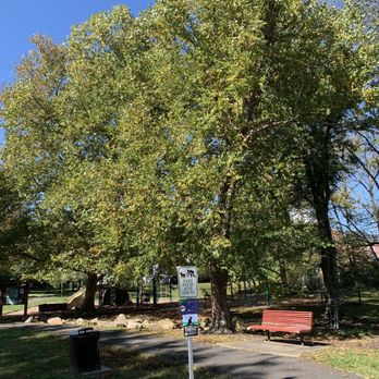 Madison Park - Parks Near Me - Falls Church, Virginia Madison Park - Parks Near Me - Falls Church, Virginia