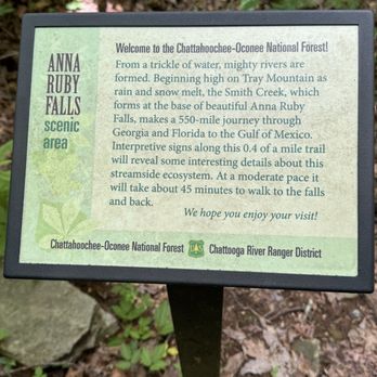 Anna Ruby Falls - Hiking Near Me - White, Georgia