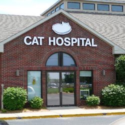 Greater Lafayette Cat Hospital