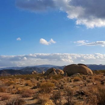 Joshua Tree National Park - Parks Near Me - Joshua Tree, California Joshua Tree National Park - Parks Near Me - Joshua Tree, California