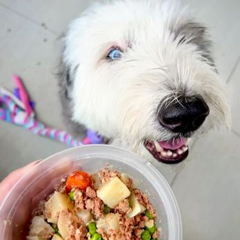 Paws and Pints - Dog Menus: Beef Stew - Dog Parks Near Me - Des Moines, Iowa