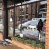 Kali's Aspen gift card