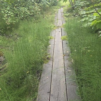Matanuska River Park - RV Parks Near Me - Palmer, Alaska