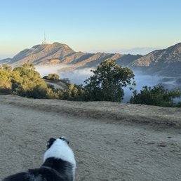 Griffith Park