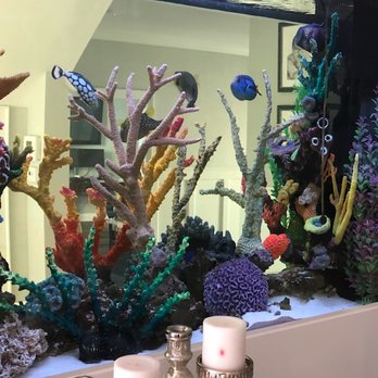 OC Reef Care - Aquarium Services Near Me - Westminster, California OC Reef Care - Aquarium Services Near Me - Westminster, California