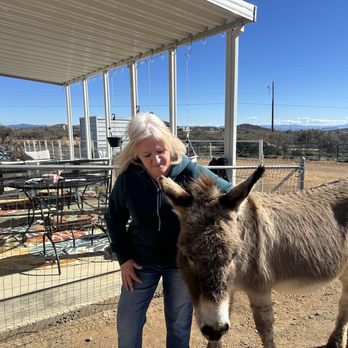 Dance With Donkeys - Animal Assisted Therapy Near Me