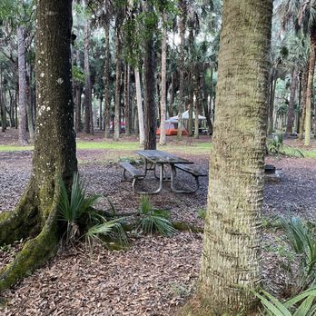 Hontoon Island State Park - Campsite. - Parks Near Me - DeLand, Florida Hontoon Island State Park - Campsite. - Parks Near Me - DeLand, Florida