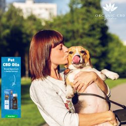 Organic Cbd Garden - Your fury friend is not a fan of Hurrican storm . Grab your CBD treats for your pets to keep them cool, calm, and collected