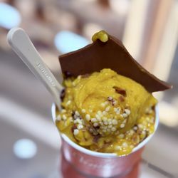 Venchi Chocolate and Gelato Paramus, NJ - Chocoviar Mango Gelato in a small cup