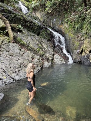 El Yunque National Forest by null