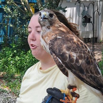 Skywatch Bird Rescue - Community Service/Non-Profit Near Me - Castle Hayne, North Carolina Skywatch Bird Rescue - Community Service/Non-Profit Near Me - Castle Hayne, North Carolina