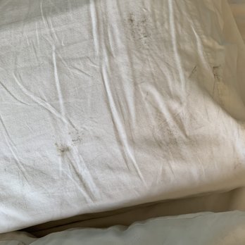 Motel 6 - Our "new" pillows - Hotels Near Me - Georgetown, Kentucky