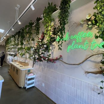 Coffee and Plants - Plants wall! - Coffee & Tea Near Me - Studio City, California Coffee and Plants - Plants wall! - Coffee & Tea Near Me - Studio City, California