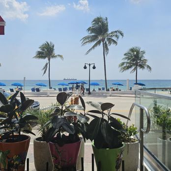 Tinta - Views! - Breakfast & Brunch Near Me - Fort Lauderdale, Florida Tinta - Views! - Breakfast & Brunch Near Me - Fort Lauderdale, Florida