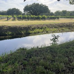 Christoval Vineyards - More beautiful vineyards!