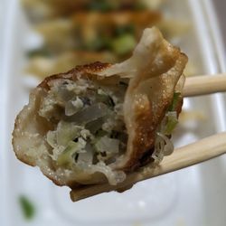 Hey Moo Moo - Cross-section of my pork gyoza