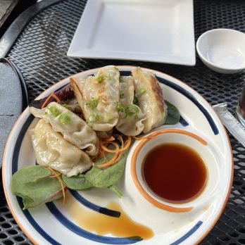 Sushi Aoi - Dumplings Chicken Gyoza - Japanese Near Me - Washington, DC, District of Columbia Sushi Aoi - Dumplings Chicken Gyoza - Japanese Near Me - Washington, DC, District of Columbia