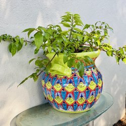 La Mexicana Supermarket - LOVE! Hand painted terra cotta pot worked beautifully for my trailing Bougainvillea thank you so much! xoxo