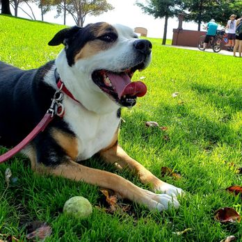 Marina Park - Parks Near Me - San Leandro, California
