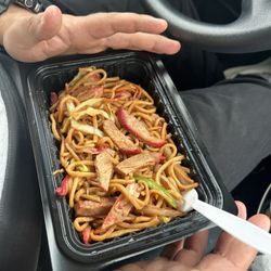 Happy Garden Chinese Restaurant - Pork chow mien, small portions for 15$ and that is their "lunch special."