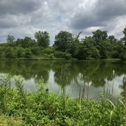 The Parklands Of Floyds Fork - Angler Lake Overlook
