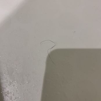 Super 8 by Wyndham Salinas - More pubic hair in bathroom - Hotels Near Me - Salinas, California Super 8 by Wyndham Salinas - More pubic hair in bathroom - Hotels Near Me - Salinas, California
