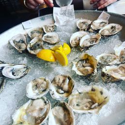 Oysters!
