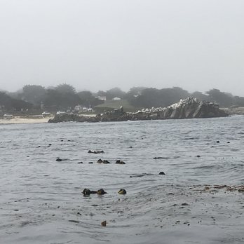 Sanctuary Charters - Boat Charters Near Me - Monterey, California Sanctuary Charters - Boat Charters Near Me - Monterey, California