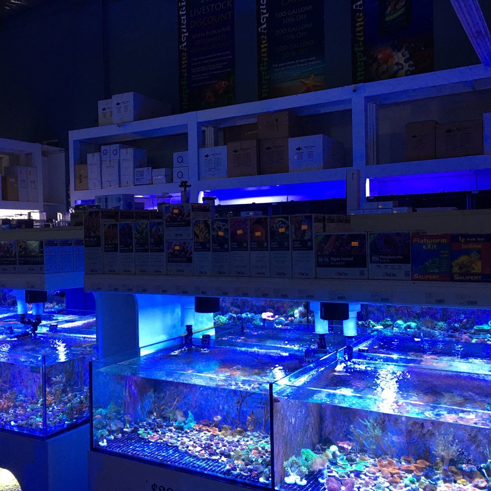 Neptune Aquatics - Best selection around!! - Aquarium Services Near Me - San Jose, California