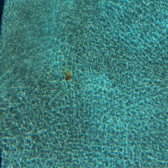 Dr H2O's Underwater Pool Repair - Pool & Hot Tub Service Near Me - San Diego, California Dr H2O's Underwater Pool Repair - Pool & Hot Tub Service Near Me - San Diego, California