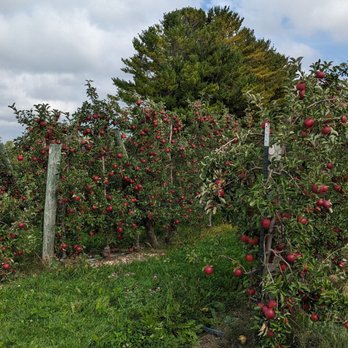 Barthel Fruit Farm - an apple orchard - Fruits & Veggies Near Me - Mequon, Wisconsin