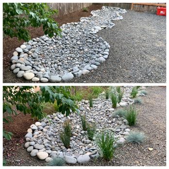 Drainage Masters - This is the SECOND rain garden Drainage Masters installed for me. Receives half my downspouts and driveway drain runoff. - Plumbing Near Me - Battle Ground, Washington
