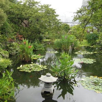 Anna Scripps Whitcomb Conservatory - Botanical Gardens Near Me - Detroit, Michigan Anna Scripps Whitcomb Conservatory - Botanical Gardens Near Me - Detroit, Michigan